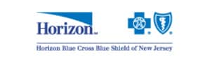 Horizon logo on Softlinx' website
