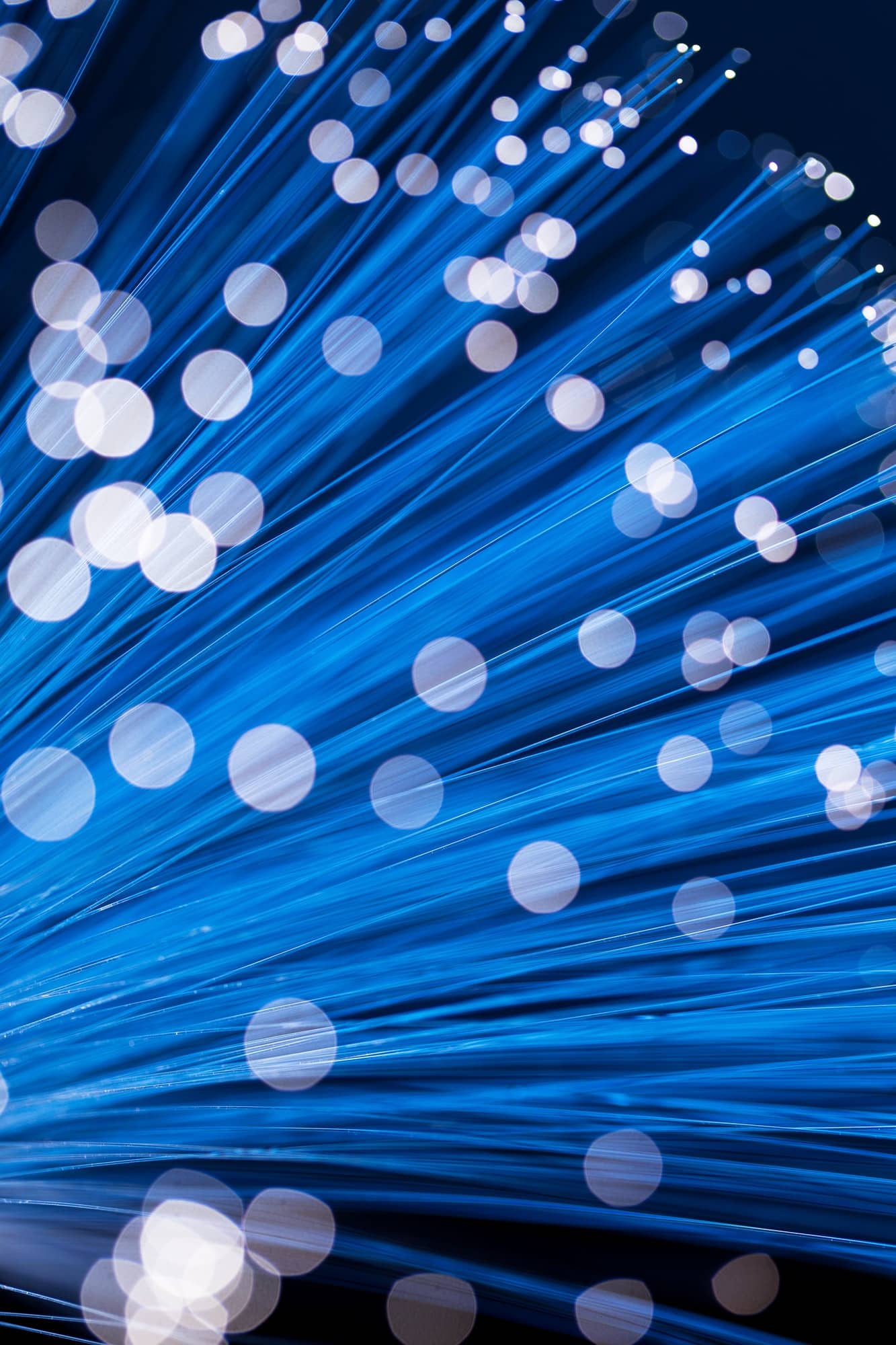 Image of a bunch of optical fibers on Softlinx' website