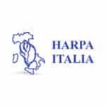 Harpa Italia logo on Softlinx' website