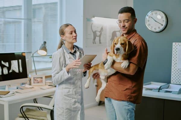 veterinary clinic cloud fax solutions