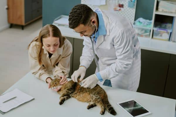 veterinary clinic cloud fax solutions