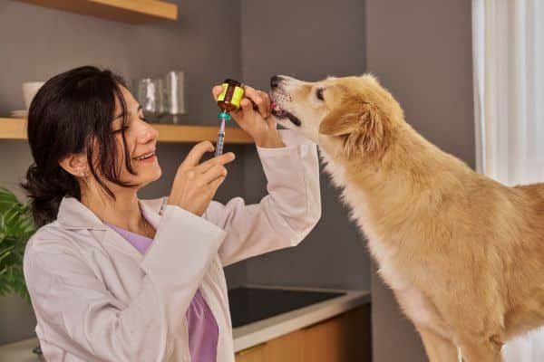 veterinary clinic cloud fax solutions